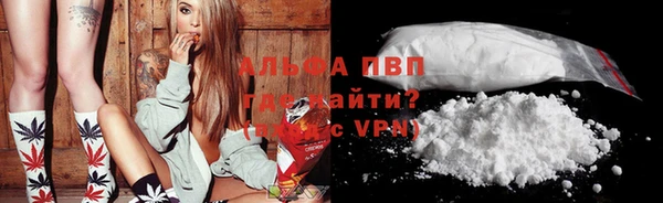 стафф Осташков