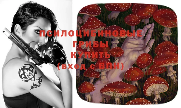 стафф Осташков