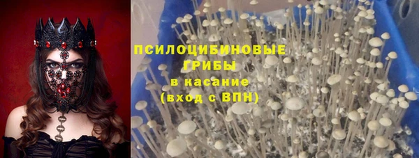 стафф Осташков