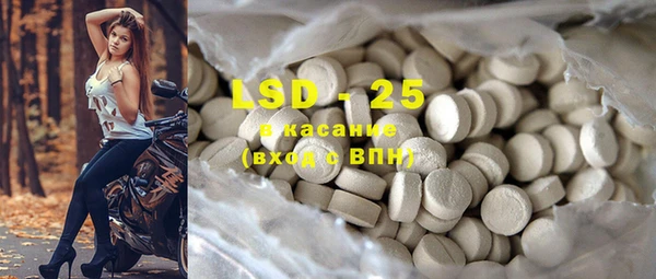 стафф Осташков