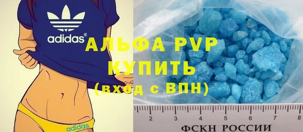 стафф Осташков